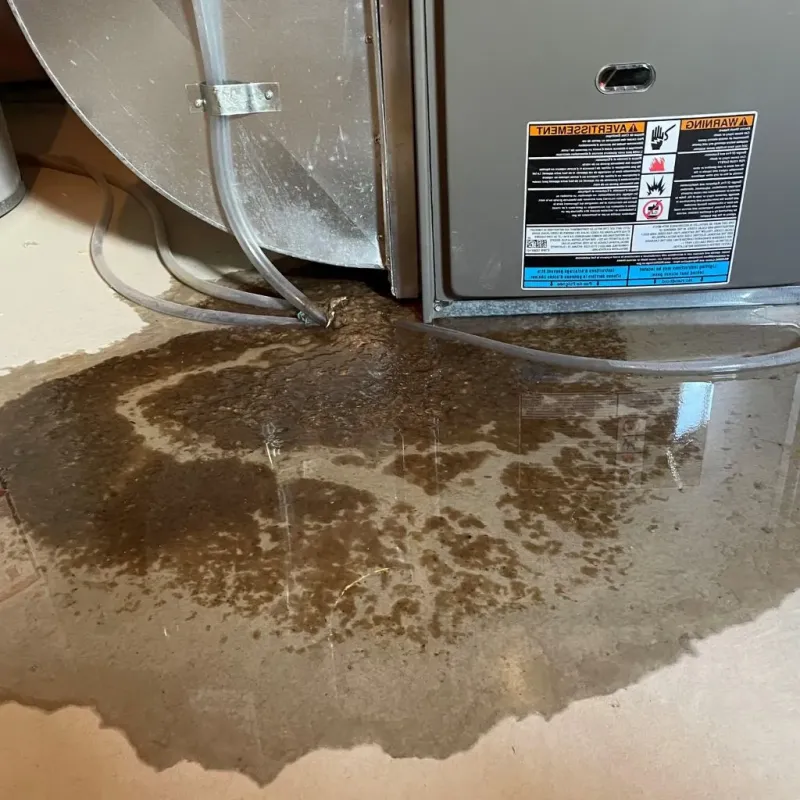 Pipe Burst and Leak Restoration in Chesterville, ME