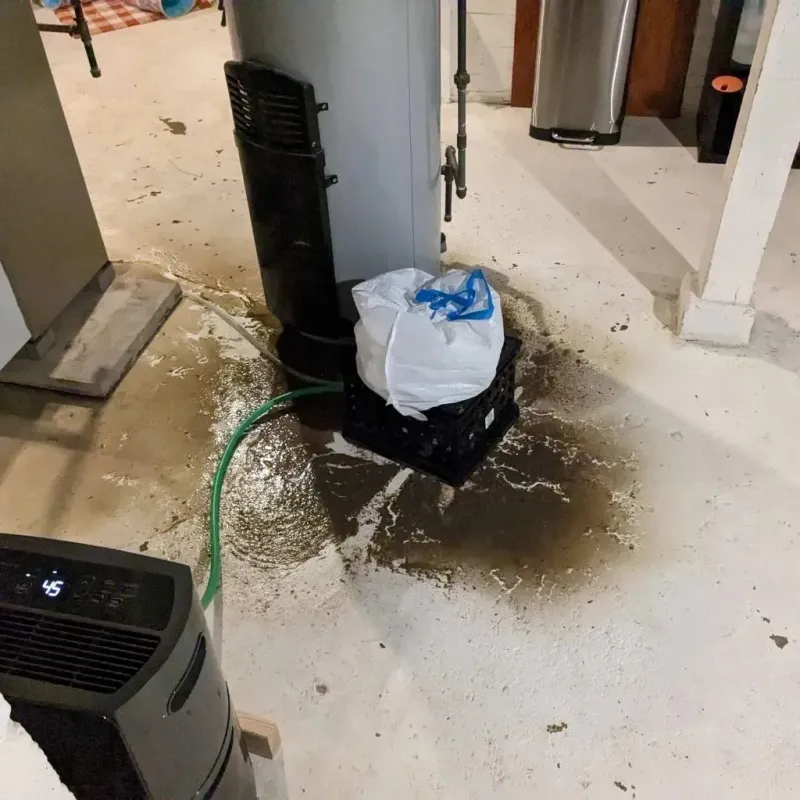 Sewage Backup Cleanup Service in Chesterville, ME